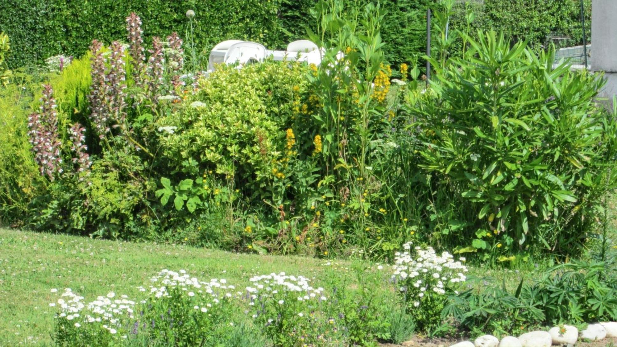 Studio Charmant A Vierville Sur Mer 30M² Avec Jardin Exterior foto